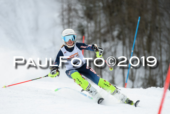 DSV Dt. Schülercup U14 SL 20.01.2019 Slalom
