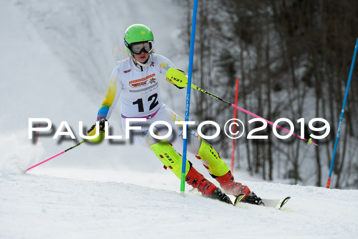 DSV Dt. Schülercup U14 SL 20.01.2019 Slalom