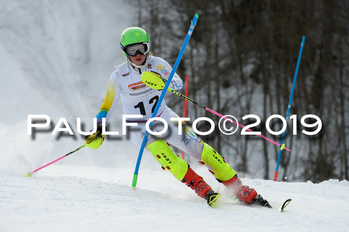 DSV Dt. Schülercup U14 SL 20.01.2019 Slalom