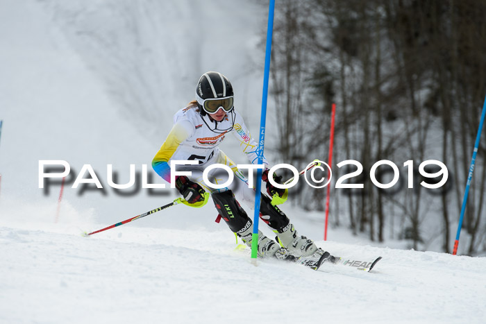 DSV Dt. Schülercup U14 SL 20.01.2019 Slalom