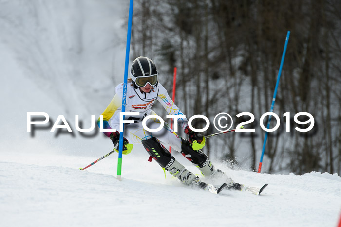 DSV Dt. Schülercup U14 SL 20.01.2019 Slalom