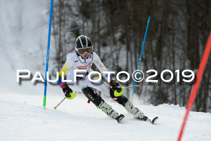 DSV Dt. Schülercup U14 SL 20.01.2019 Slalom
