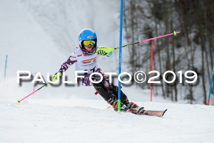DSV Dt. Schülercup U14 SL 20.01.2019 Slalom