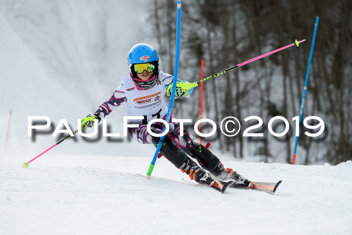 DSV Dt. Schülercup U14 SL 20.01.2019 Slalom