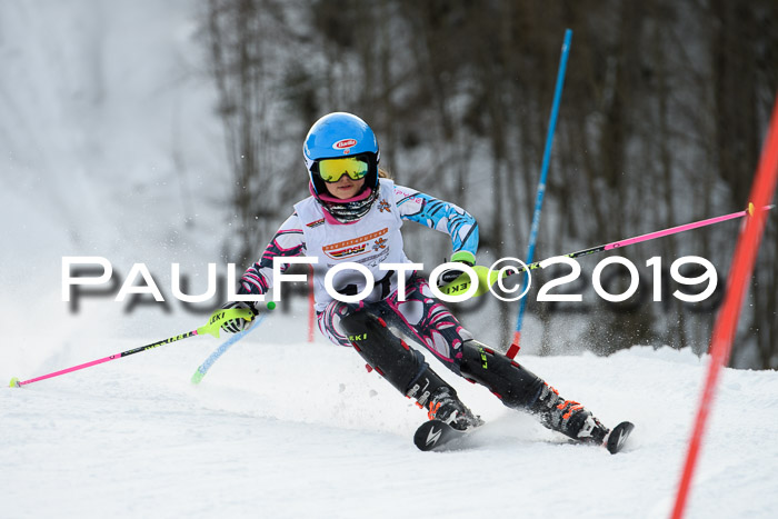 DSV Dt. Schülercup U14 SL 20.01.2019 Slalom