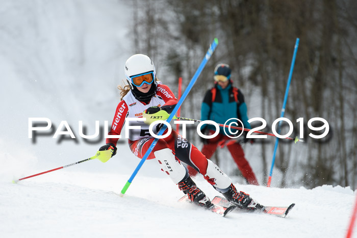 DSV Dt. Schülercup U14 SL 20.01.2019 Slalom