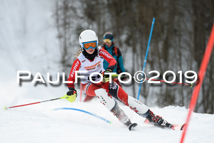 DSV Dt. Schülercup U14 SL 20.01.2019 Slalom