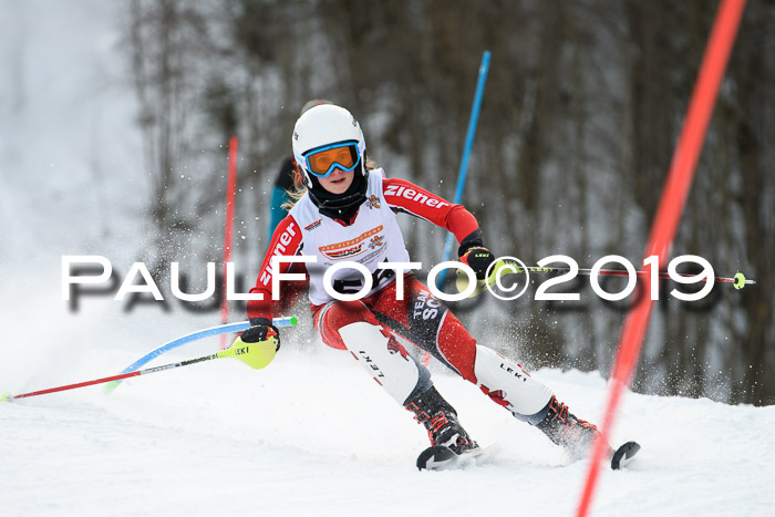DSV Dt. Schülercup U14 SL 20.01.2019 Slalom
