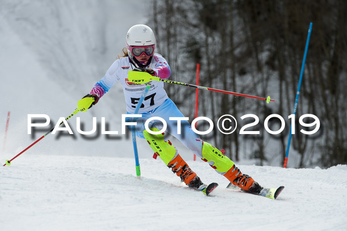 DSV Dt. Schülercup U14 SL 20.01.2019 Slalom