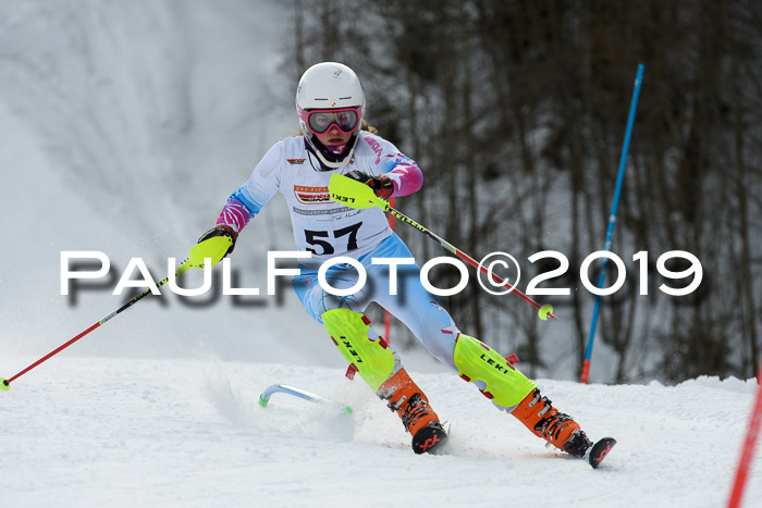DSV Dt. Schülercup U14 SL 20.01.2019 Slalom