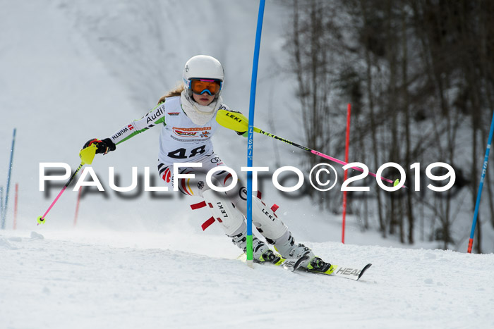DSV Dt. Schülercup U14 SL 20.01.2019 Slalom