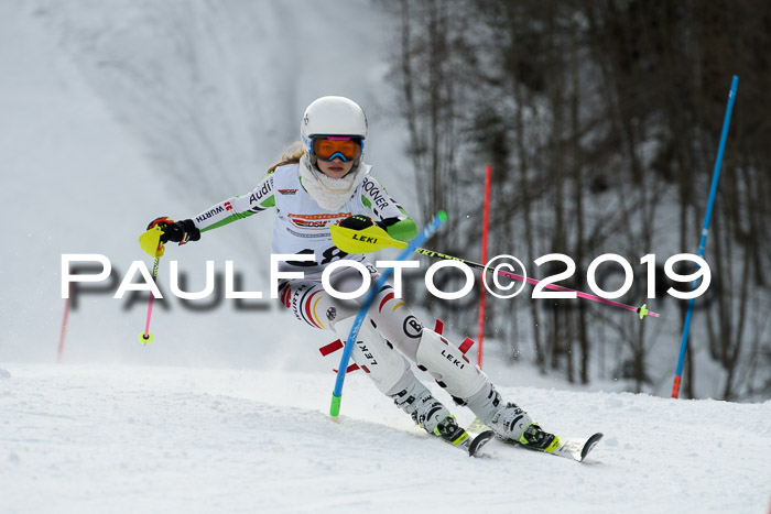 DSV Dt. Schülercup U14 SL 20.01.2019 Slalom