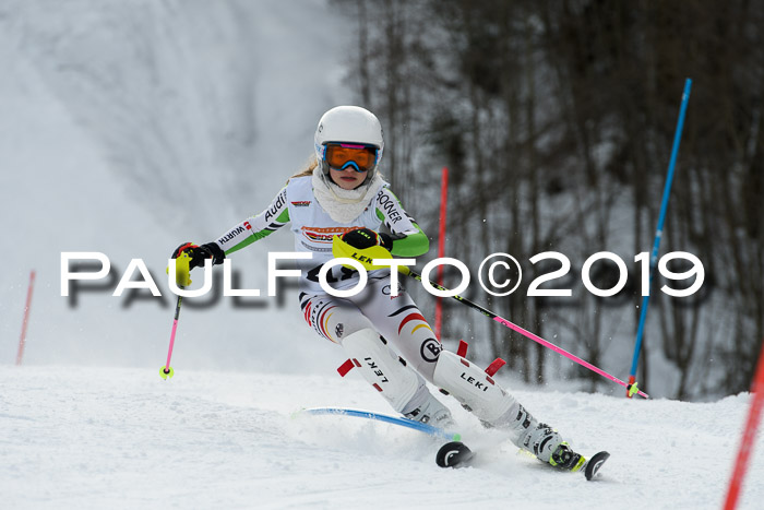 DSV Dt. Schülercup U14 SL 20.01.2019 Slalom