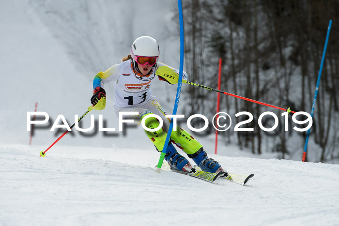 DSV Dt. Schülercup U14 SL 20.01.2019 Slalom