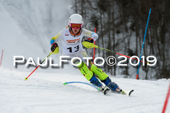 DSV Dt. Schülercup U14 SL 20.01.2019 Slalom
