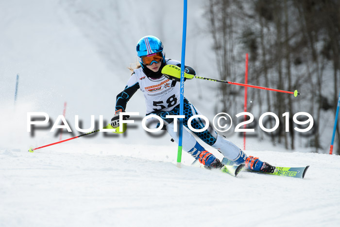 DSV Dt. Schülercup U14 SL 20.01.2019 Slalom
