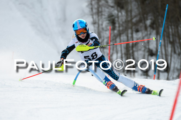 DSV Dt. Schülercup U14 SL 20.01.2019 Slalom