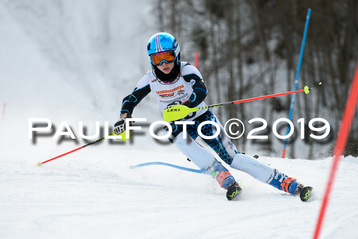 DSV Dt. Schülercup U14 SL 20.01.2019 Slalom