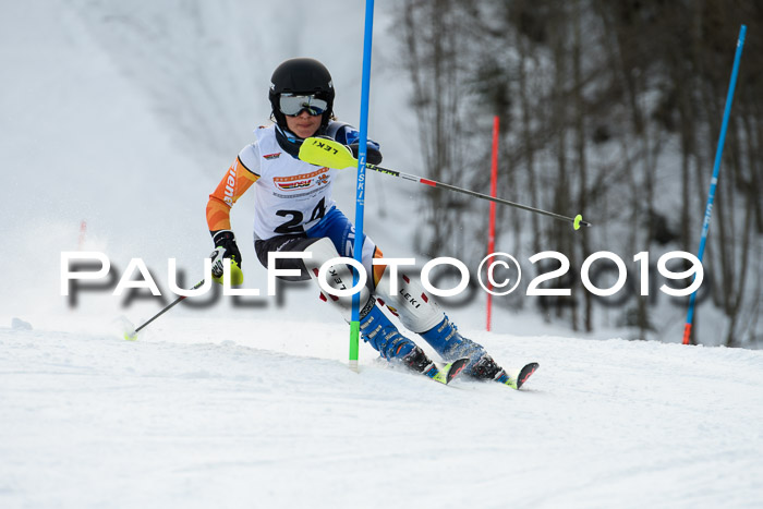 DSV Dt. Schülercup U14 SL 20.01.2019 Slalom