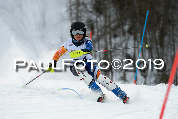 DSV Dt. Schülercup U14 SL 20.01.2019 Slalom