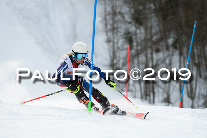 DSV Dt. Schülercup U14 SL 20.01.2019 Slalom