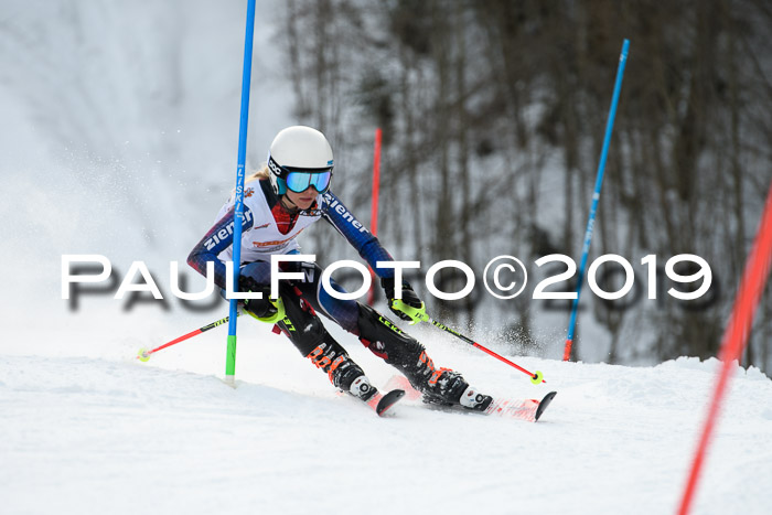 DSV Dt. Schülercup U14 SL 20.01.2019 Slalom