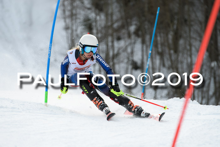 DSV Dt. Schülercup U14 SL 20.01.2019 Slalom