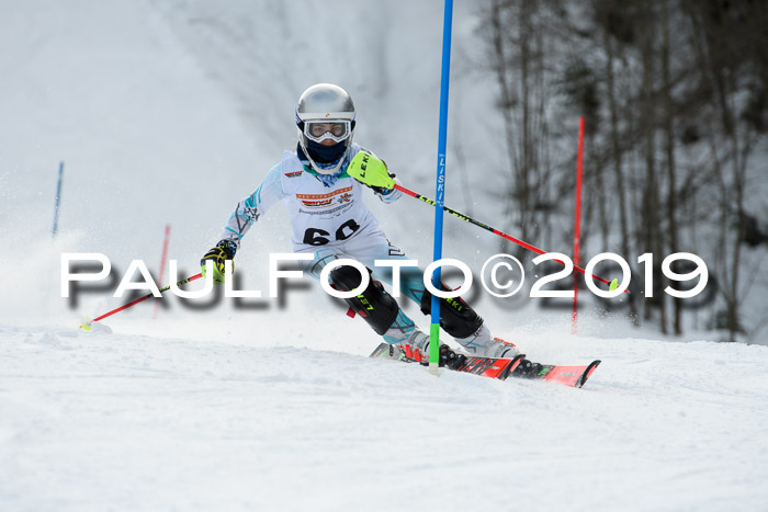 DSV Dt. Schülercup U14 SL 20.01.2019 Slalom
