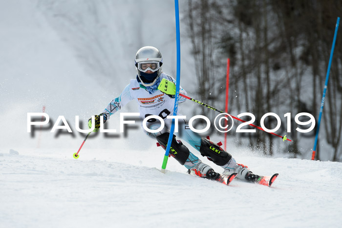 DSV Dt. Schülercup U14 SL 20.01.2019 Slalom