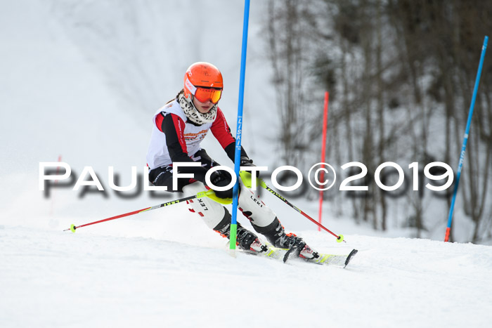 DSV Dt. Schülercup U14 SL 20.01.2019 Slalom