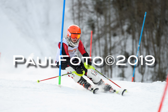 DSV Dt. Schülercup U14 SL 20.01.2019 Slalom