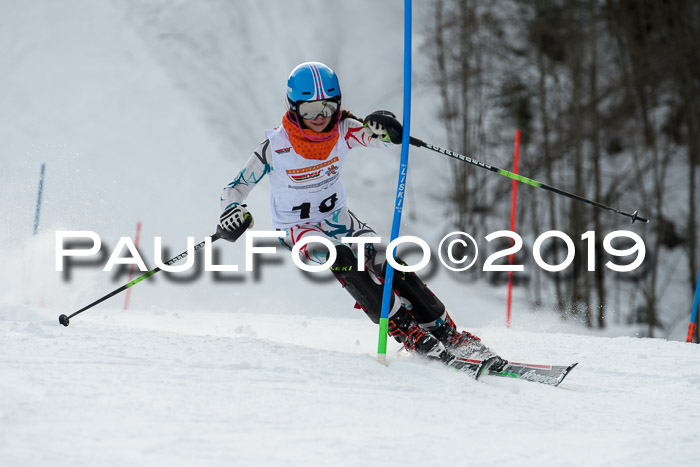 DSV Dt. Schülercup U14 SL 20.01.2019 Slalom