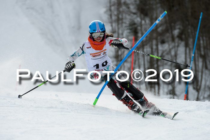 DSV Dt. Schülercup U14 SL 20.01.2019 Slalom