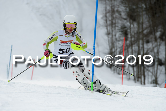 DSV Dt. Schülercup U14 SL 20.01.2019 Slalom