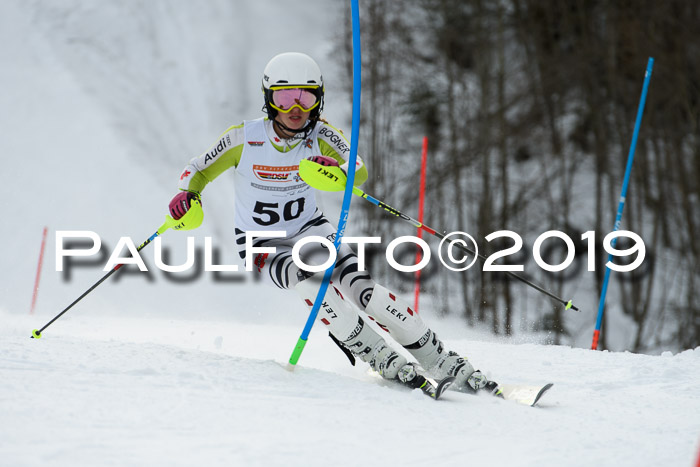 DSV Dt. Schülercup U14 SL 20.01.2019 Slalom