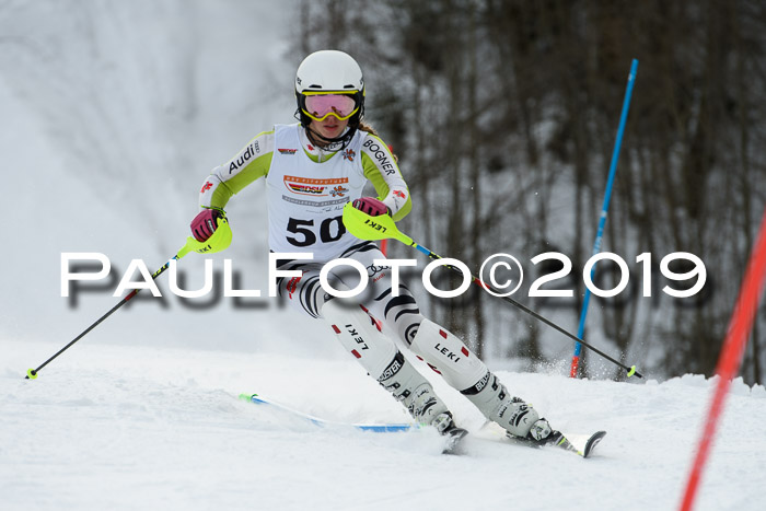 DSV Dt. Schülercup U14 SL 20.01.2019 Slalom