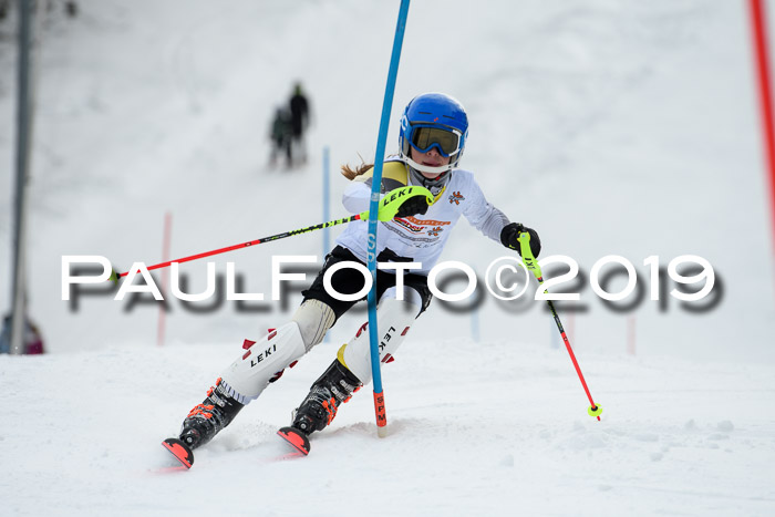 DSV Dt. Schülercup U14 SL 20.01.2019 Slalom