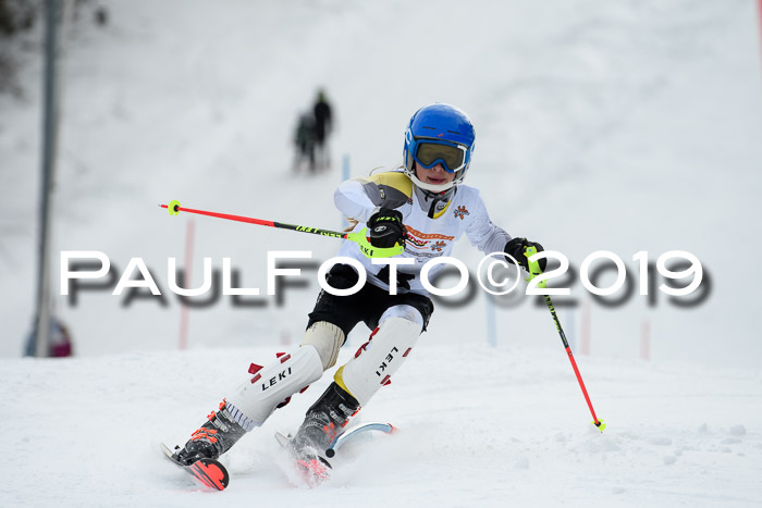 DSV Dt. Schülercup U14 SL 20.01.2019 Slalom