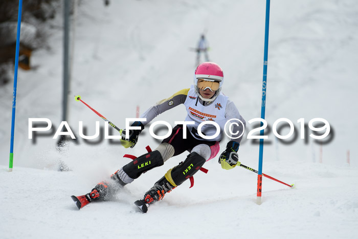 DSV Dt. Schülercup U14 SL 20.01.2019 Slalom
