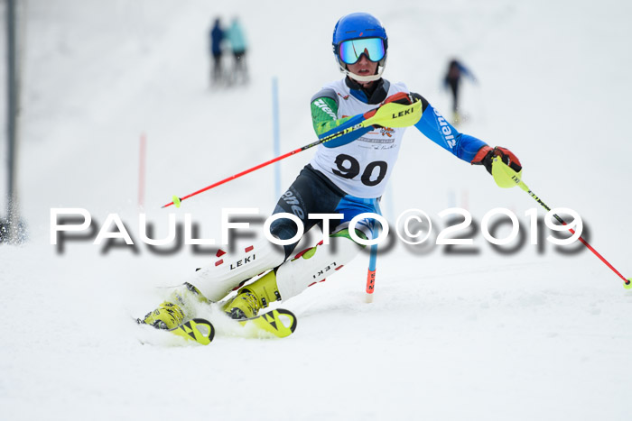 DSV Dt. Schülercup U14 SL 20.01.2019 Slalom