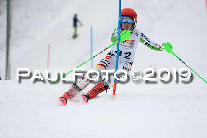 DSV Dt. Schülercup U14 SL 20.01.2019 Slalom