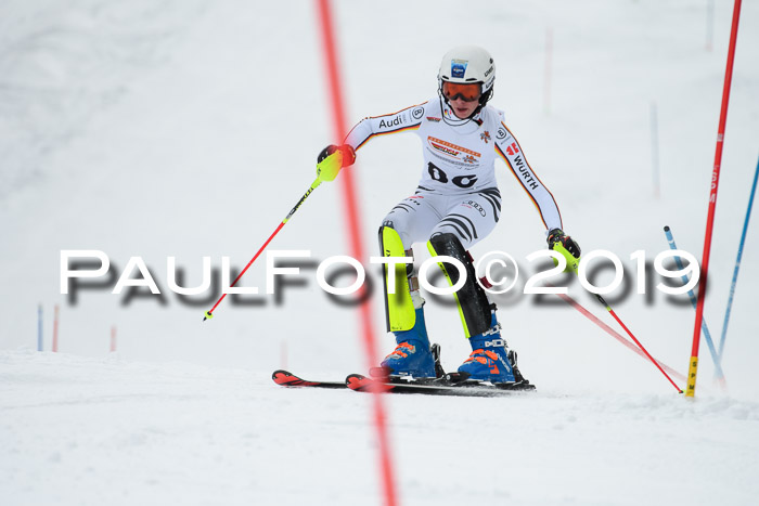 DSV Dt. Schülercup U14 SL 20.01.2019 Slalom