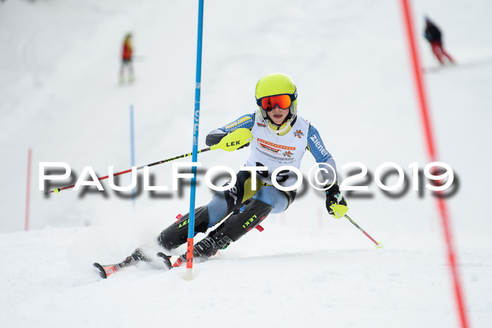 DSV Dt. Schülercup U14 SL 20.01.2019 Slalom