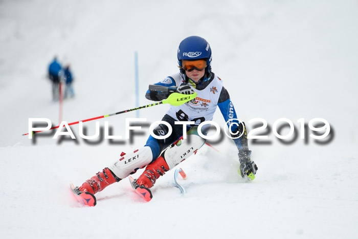 DSV Dt. Schülercup U14 SL 20.01.2019 Slalom