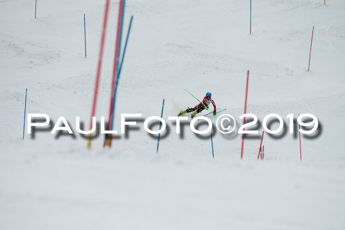 DSV Dt. Schülercup U14 SL 20.01.2019 Slalom