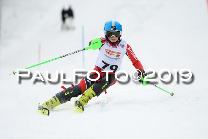 DSV Dt. Schülercup U14 SL 20.01.2019 Slalom