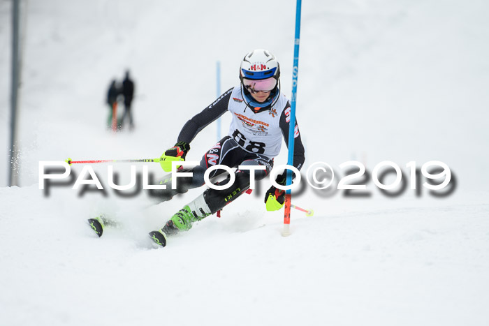 DSV Dt. Schülercup U14 SL 20.01.2019 Slalom