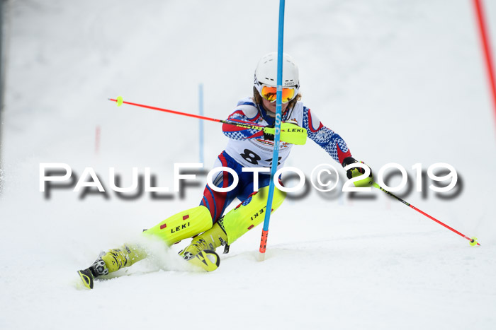 DSV Dt. Schülercup U14 SL 20.01.2019 Slalom
