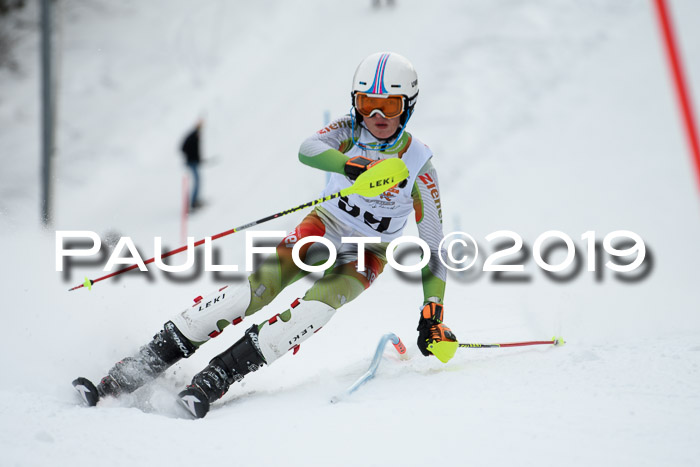 DSV Dt. Schülercup U14 SL 20.01.2019 Slalom