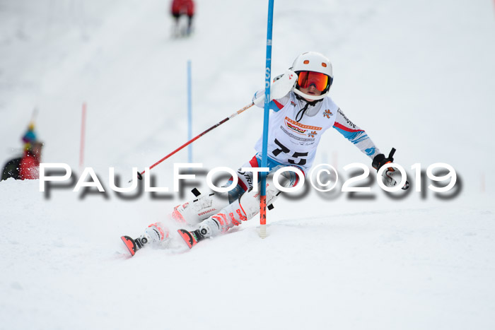 DSV Dt. Schülercup U14 SL 20.01.2019 Slalom